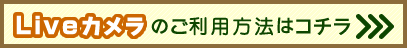 Liveカメラのご利用方法はこちら